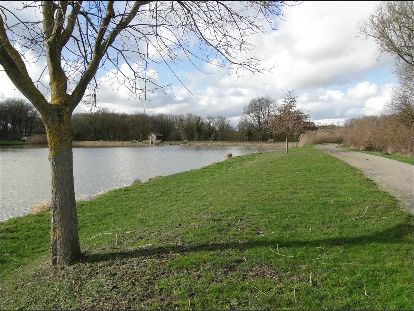 Grand plan d'eau de la Puye_1