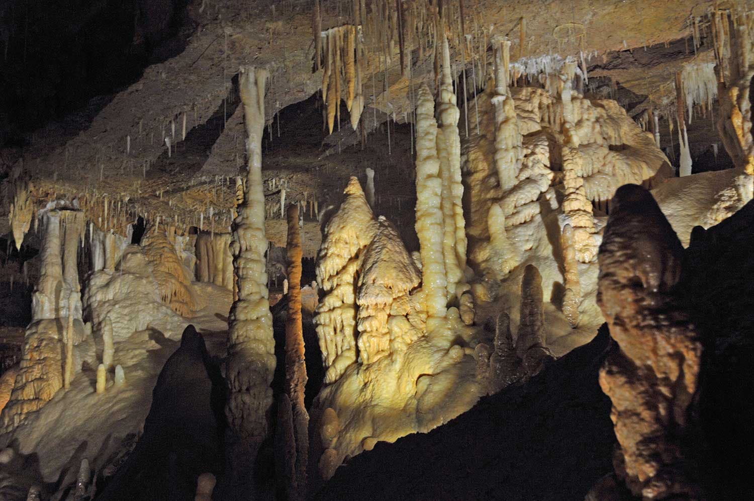 Grotte de Tourtoirac