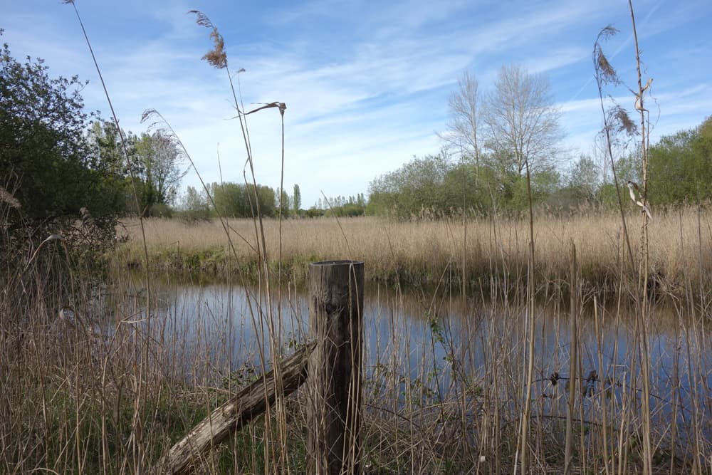Etang de pêche communal_2