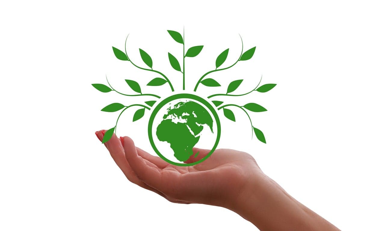 Climat