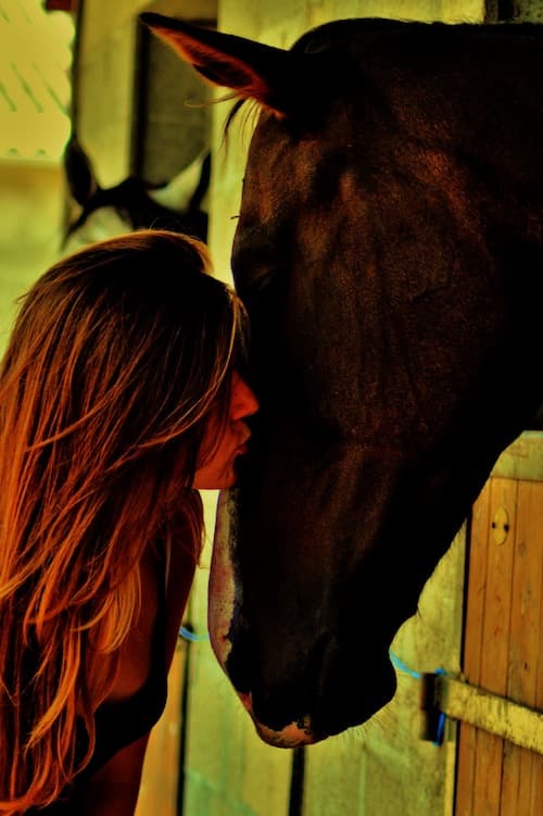 horsekiss