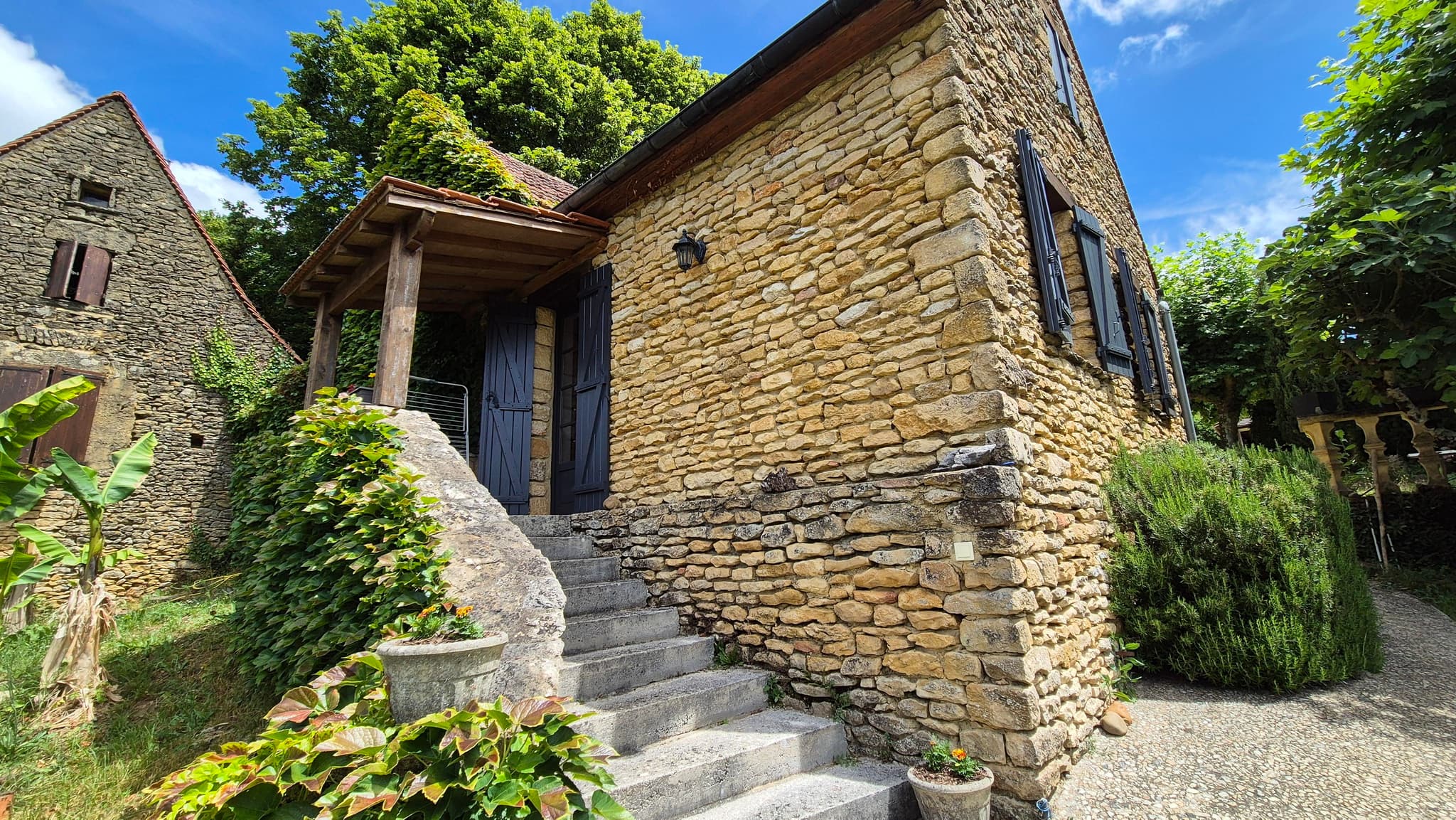Les Platanes à Sarlat_3