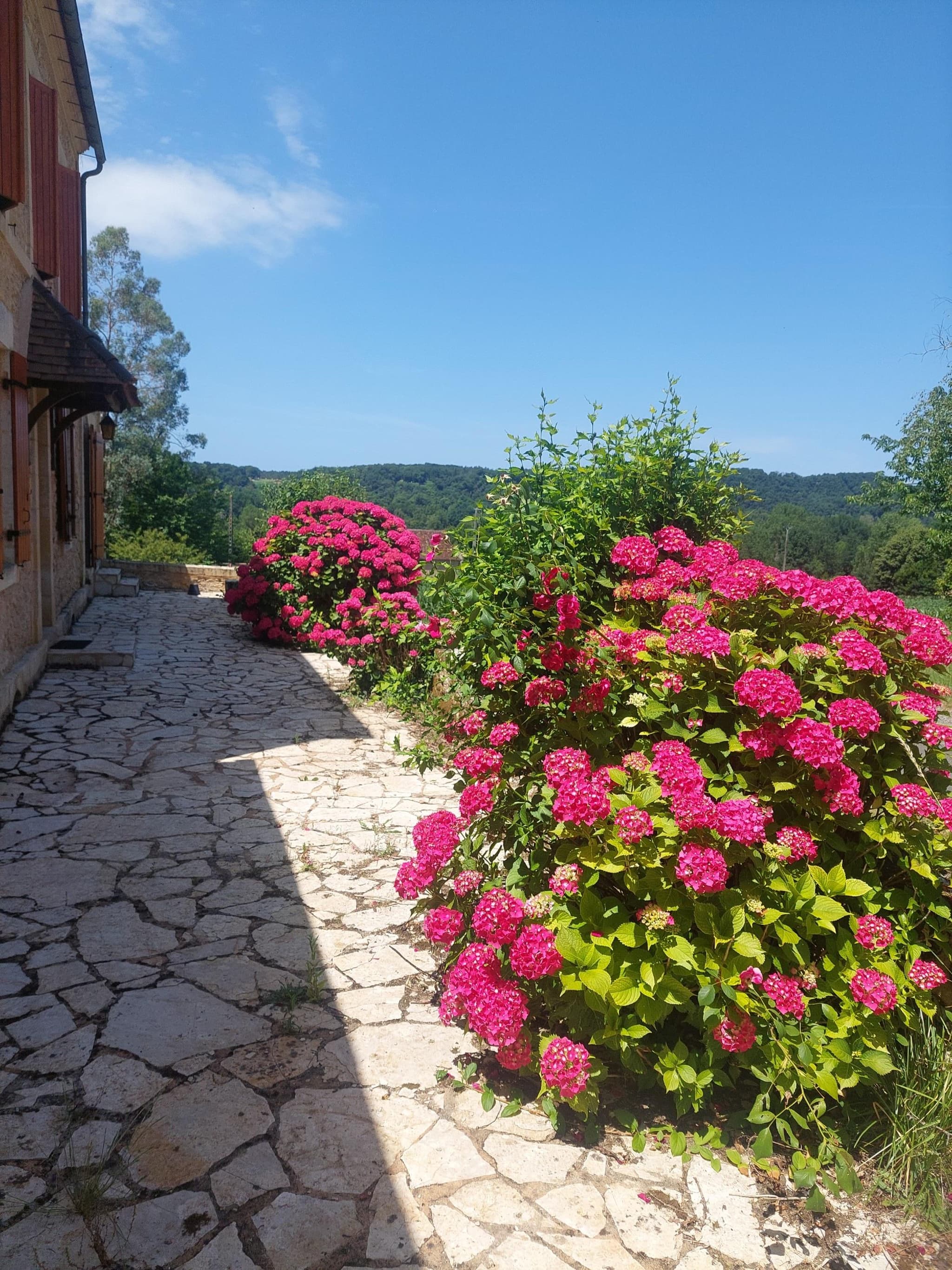 Maison des Hortensias à 500 m des bords de rivière_3