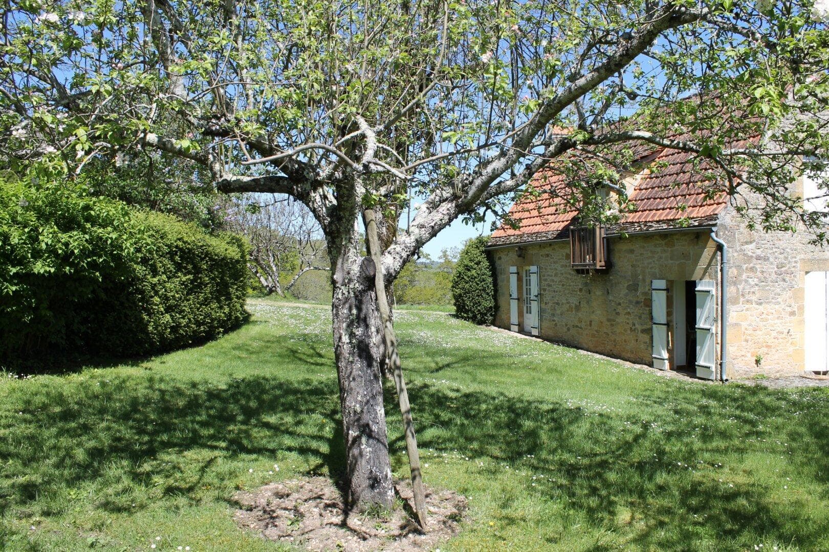 La Petite Fumélie climatisée proche de Sarlat_6