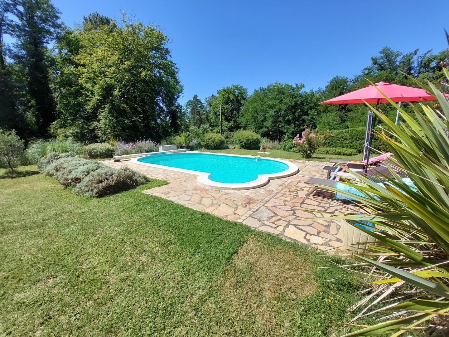 Tranquilou avec piscine proche de Sarlat_13