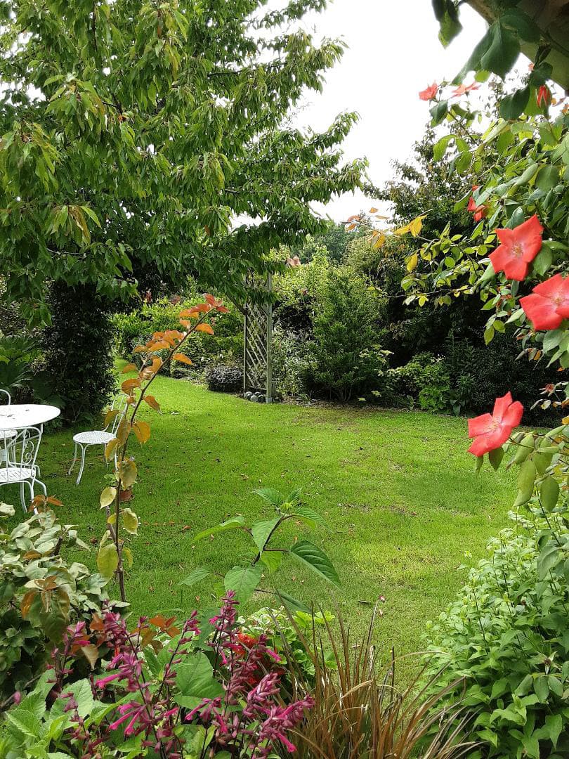 LINXE_Jardin Marguerite (1)