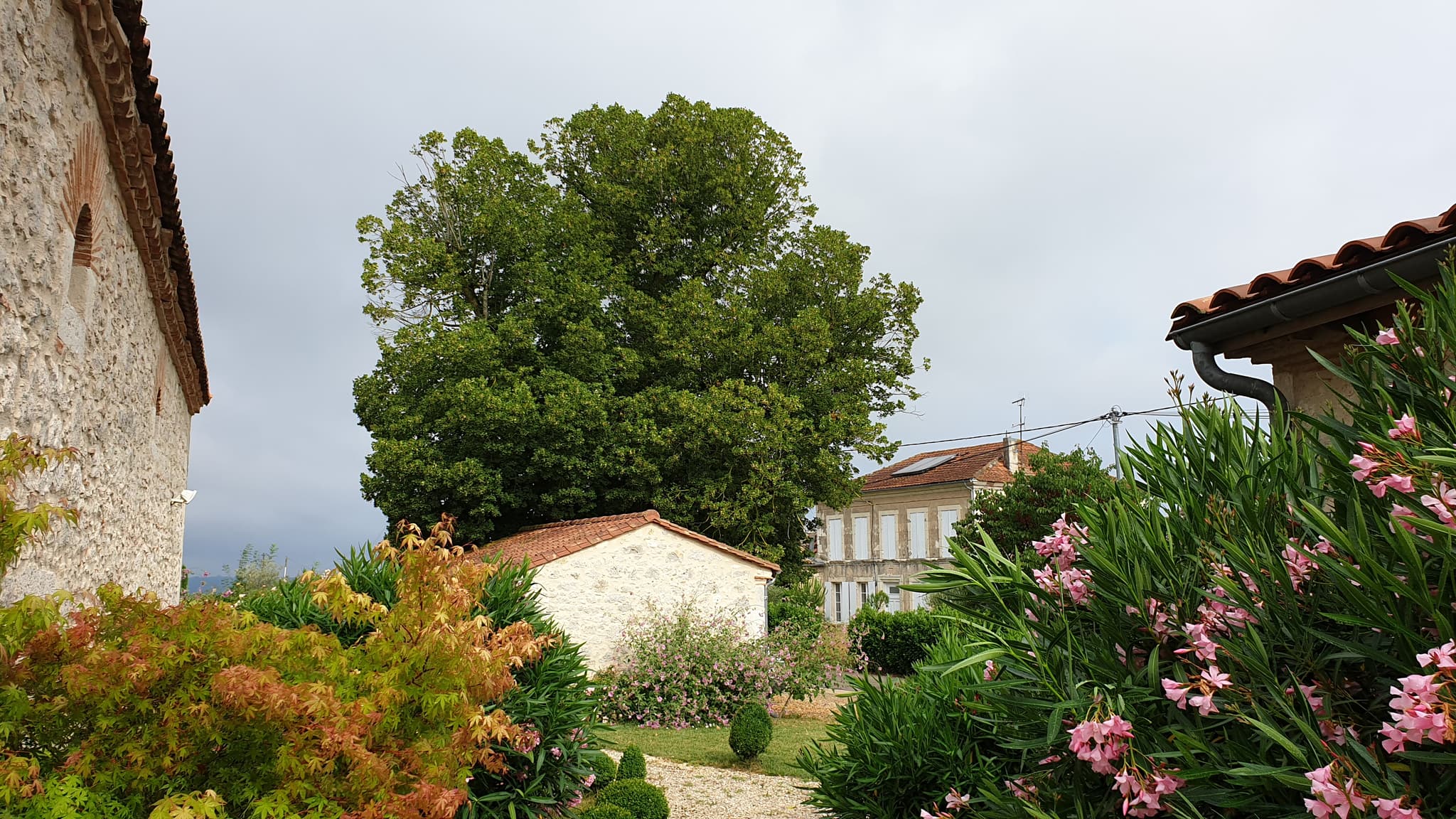 jardin