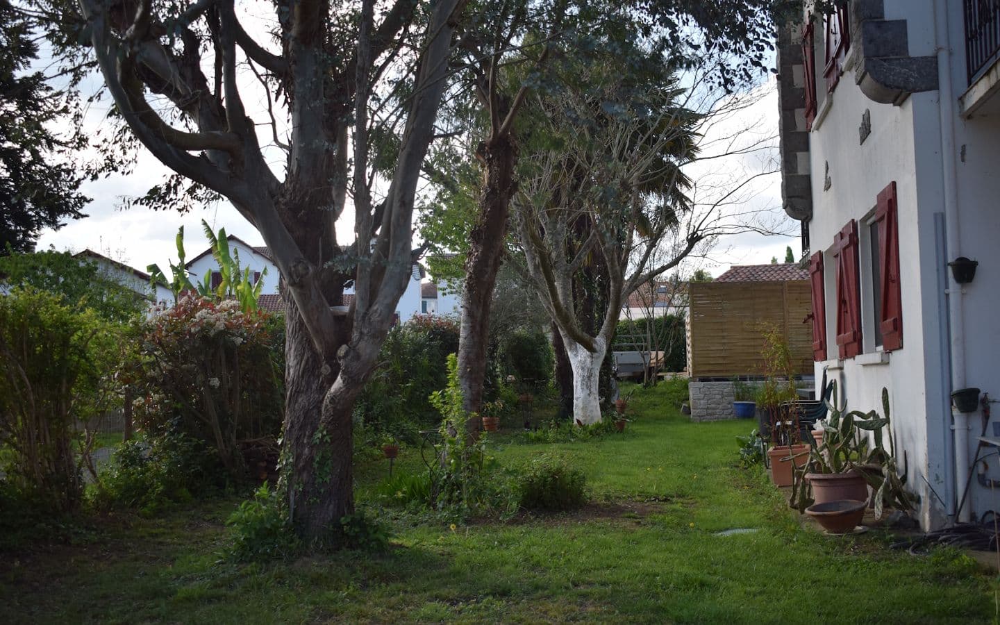 jardin