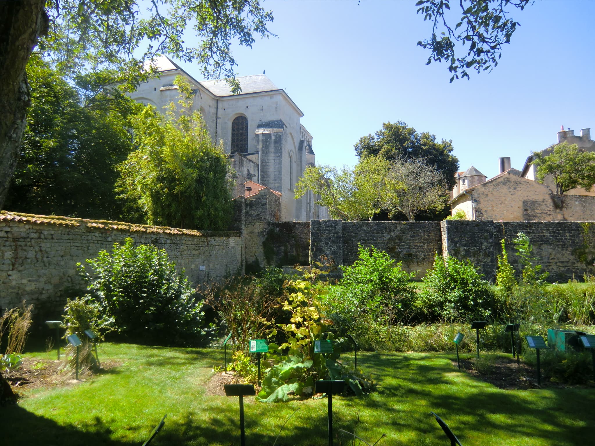 jardin d'inspiration médiévale_mairie de Nouaillé-Maupertuis (1)