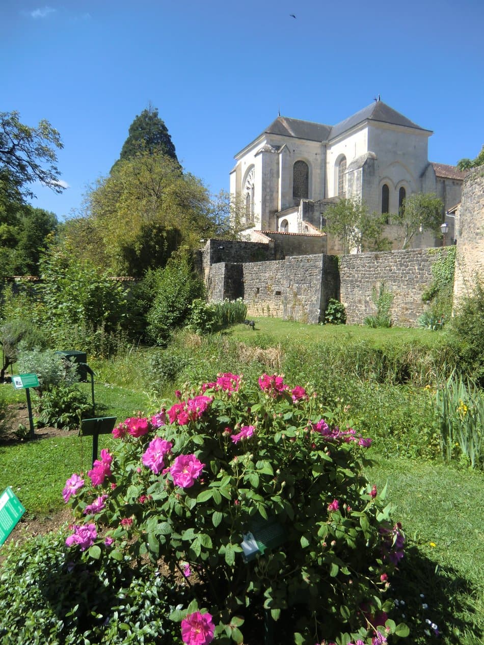 jardin d'inspiration médiévale_mairie de Nouaillé-Maupertuis (6)