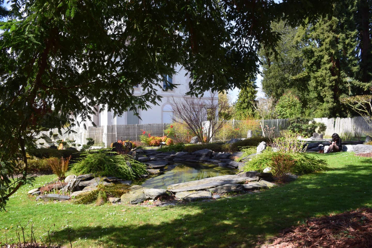 Jardin de Kofu - Pau - Bassin