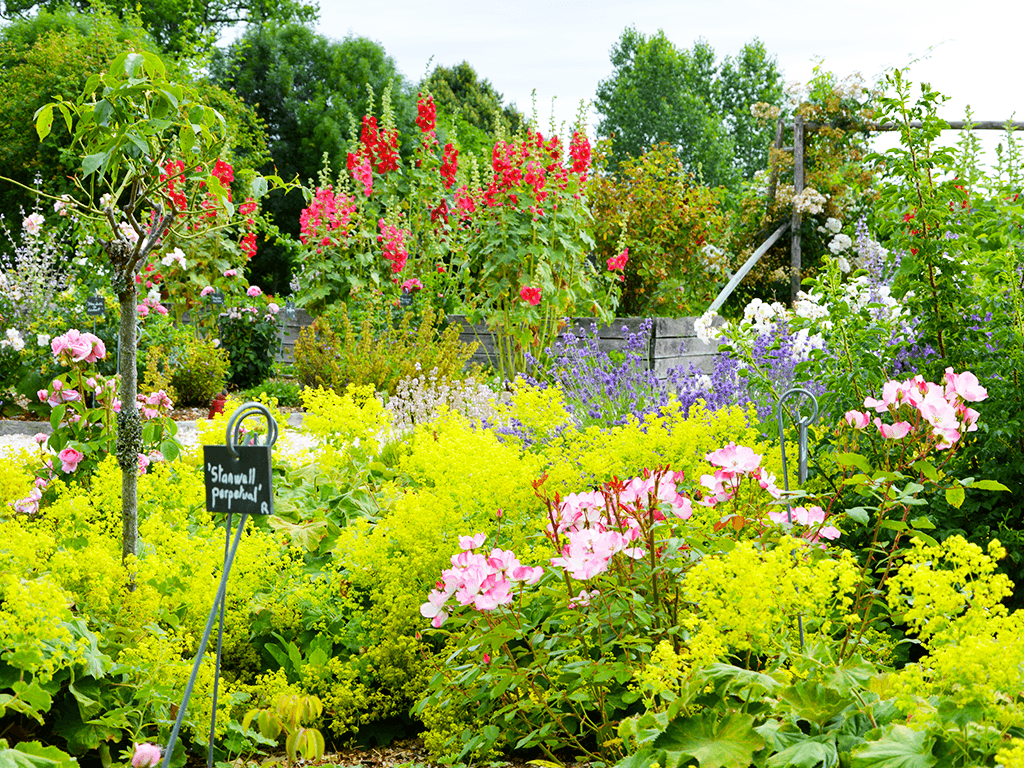 Jardin de l'An Mil - Rilhac-Lastours