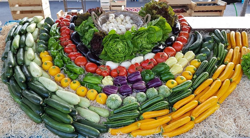 jardin puymasson mise en place 2