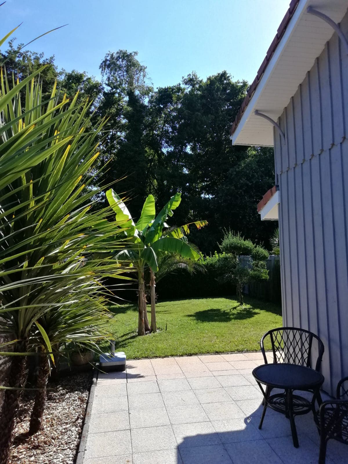 jardin vue 2