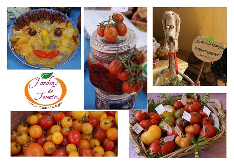 jardins de tomates
