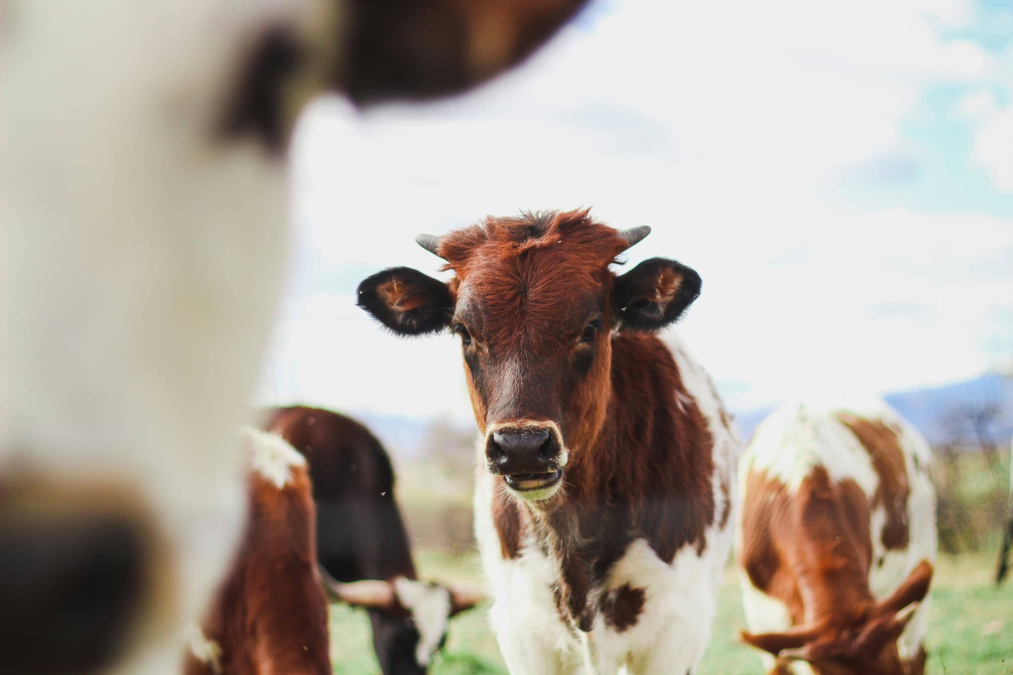 kylee-alons-suQ-D-9dmVU-unsplash_1