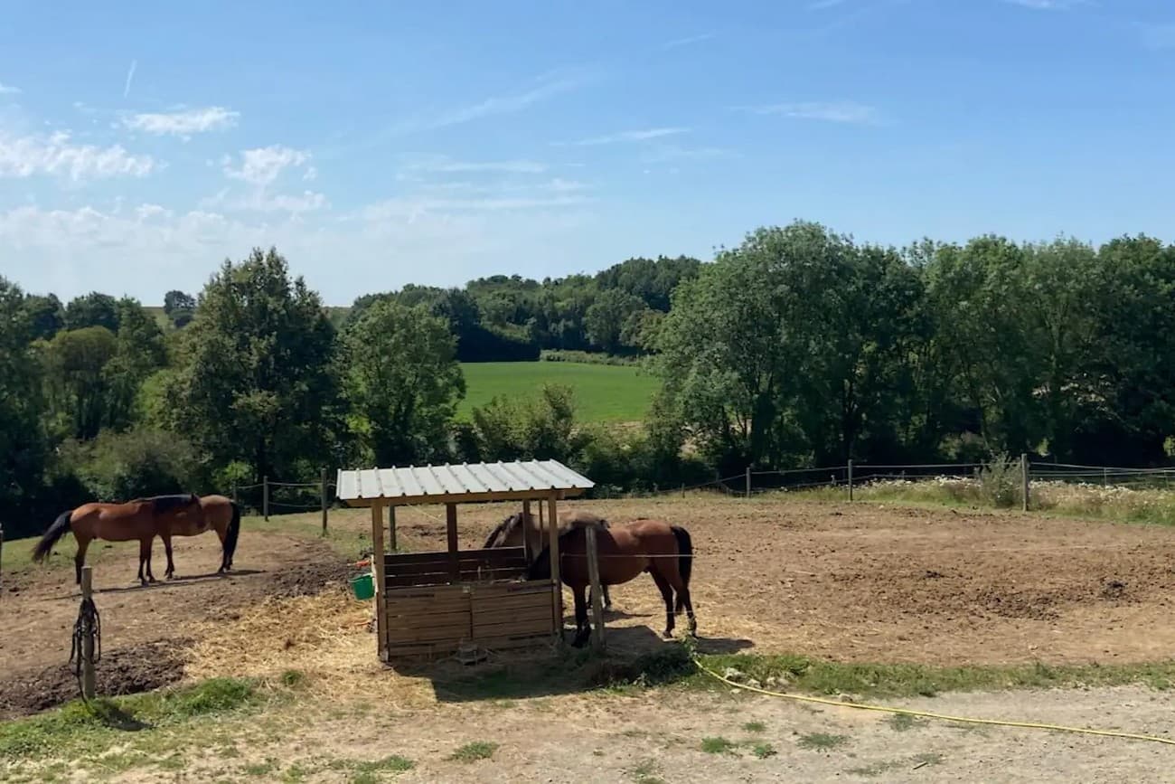 la-foret-sur-sevre-chambres -dhotes-des-roseaux-paysage