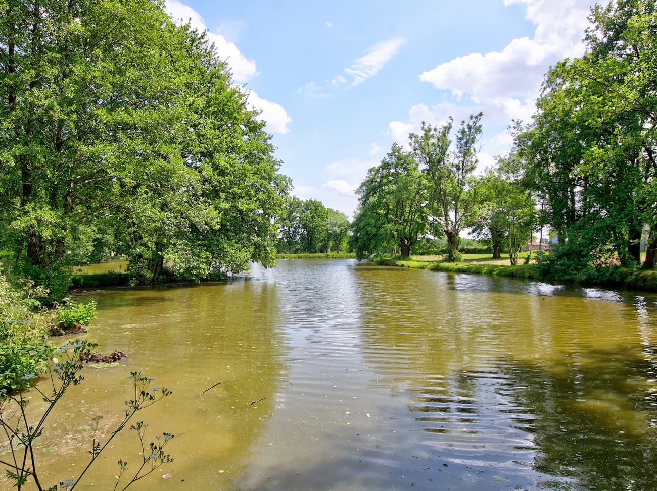 la-foret-sur-sevre-la-ronde-aire-de-camping-car-les-forges-fishing-etang1