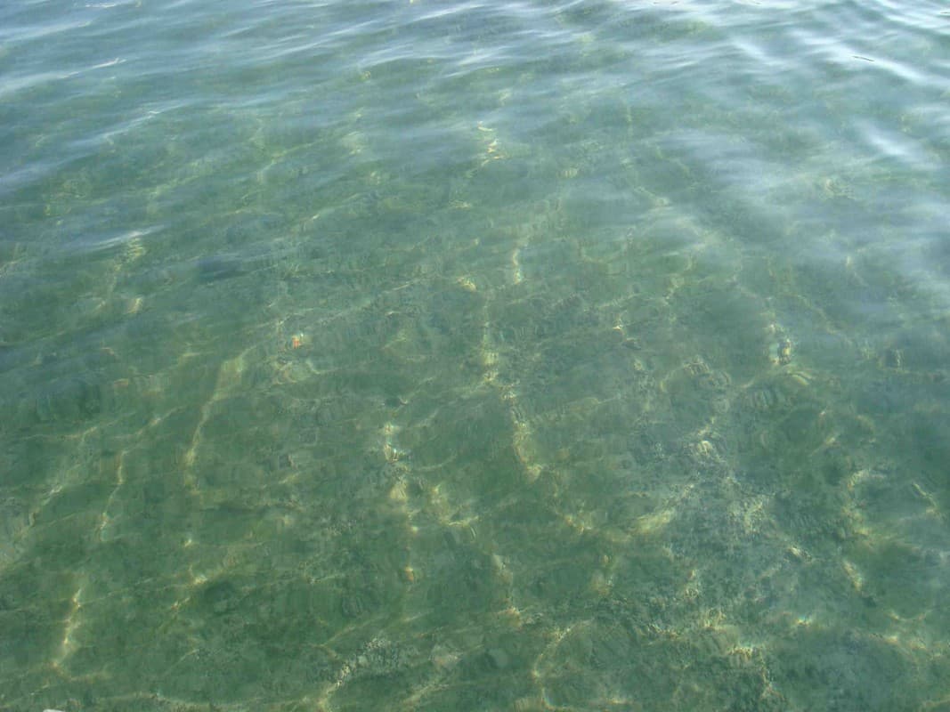 Lac