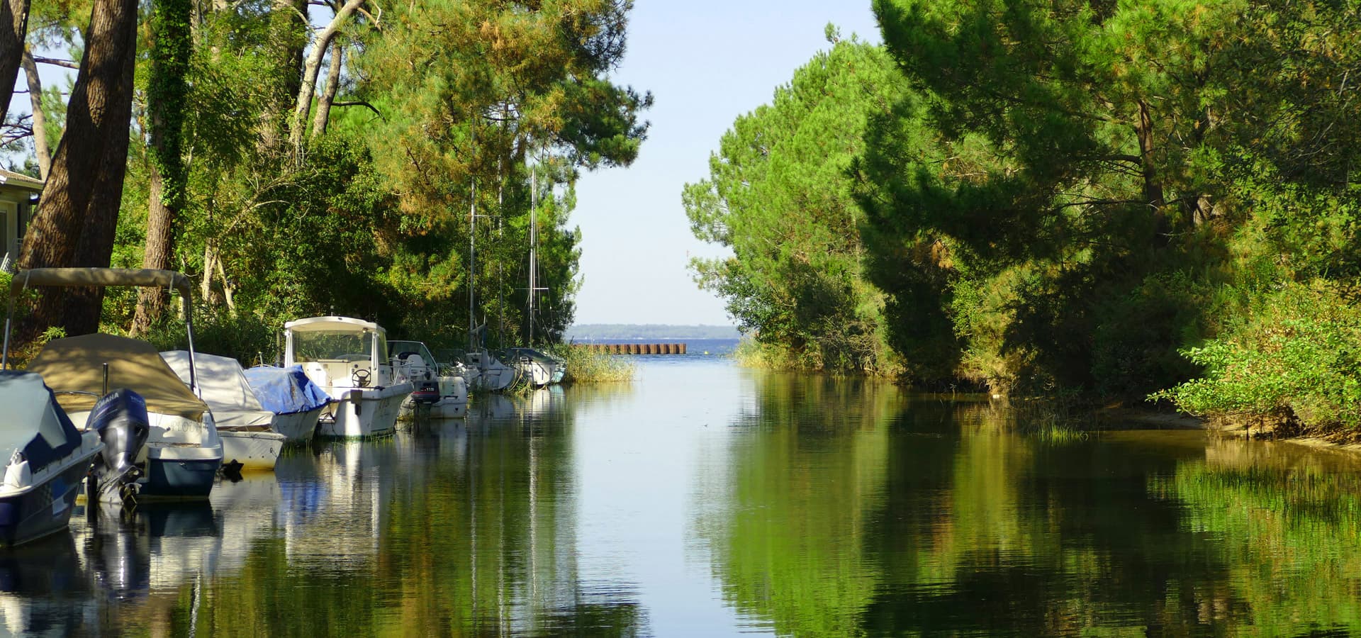 lac-bisca