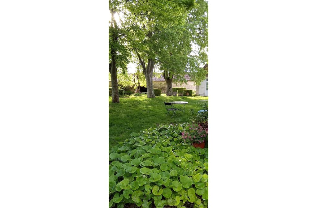 ladonzelle_monsaguel_printemps2025_jardin