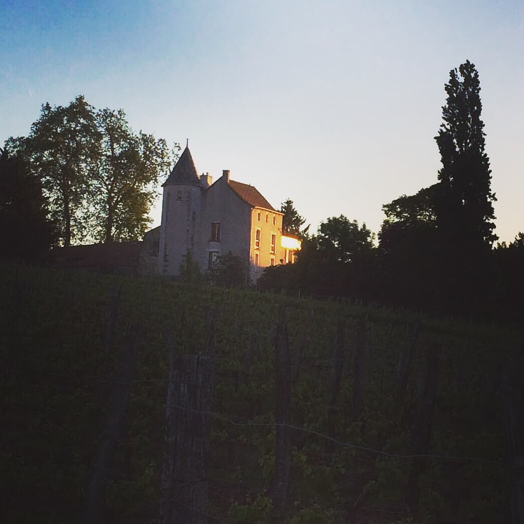 Manoir de Lavauguyot_11