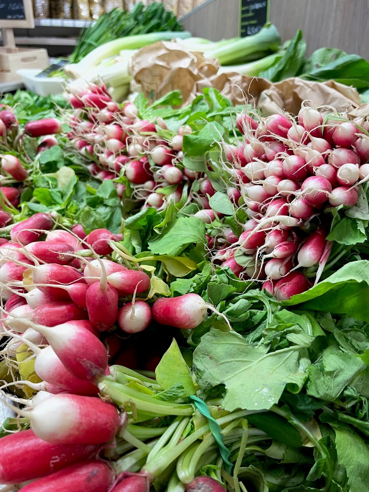 légumes de saison vente directe Saint Maixent