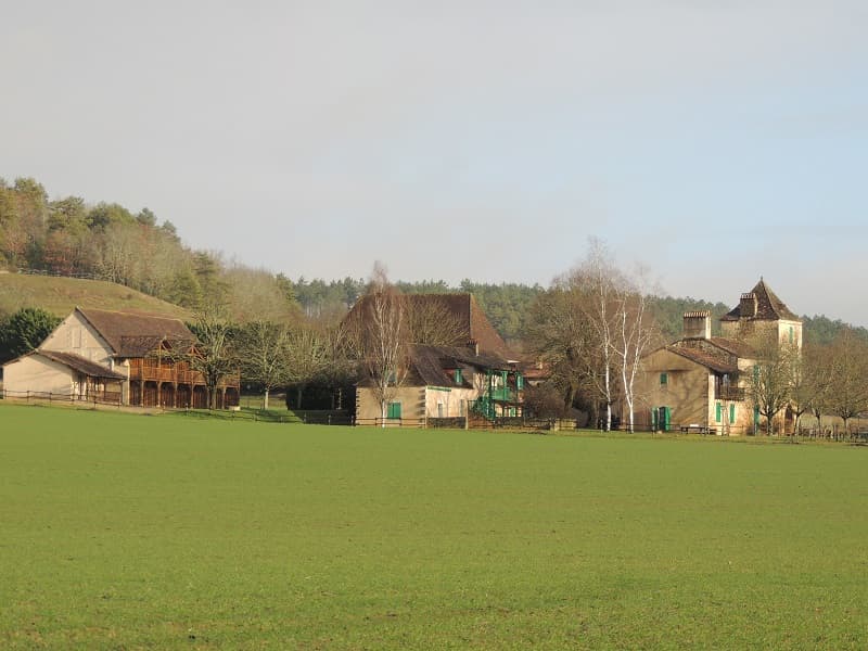 les bois de la tour