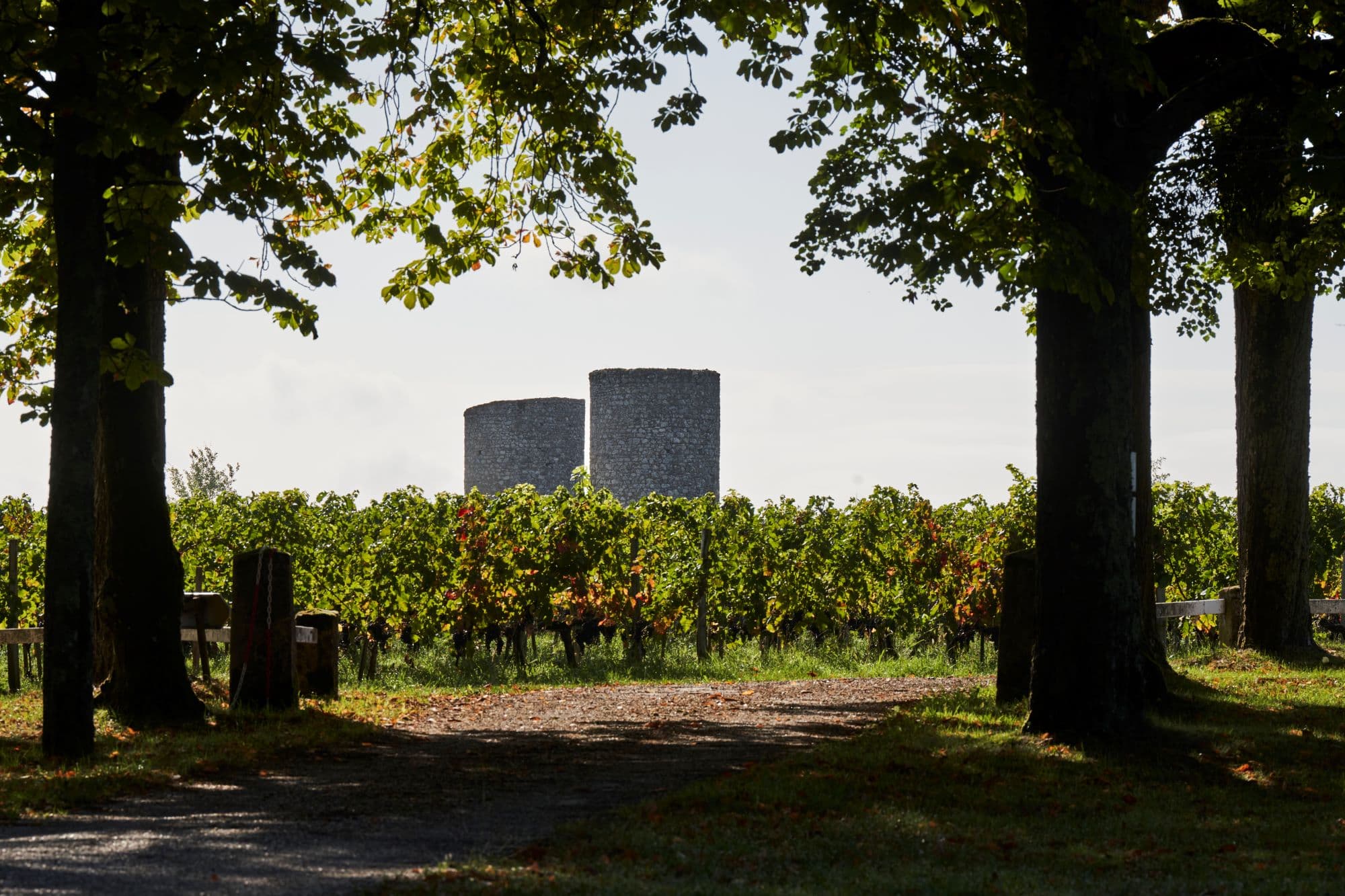 les-moulins-chateau-plain-point-credit-mathieu-anglada-jpg