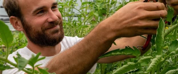 Les légumes de Rémi
