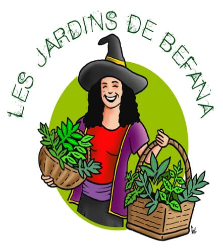 logo-Befana