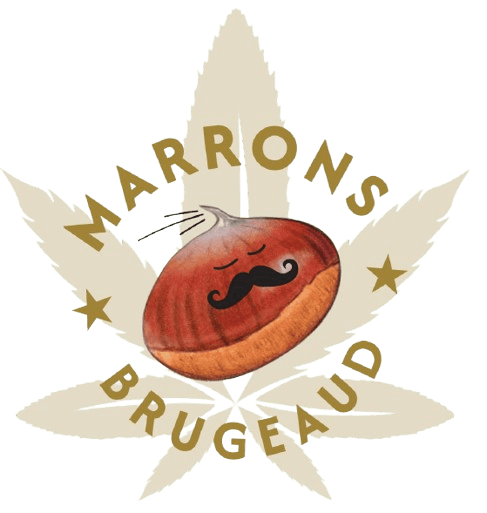 logo_marrons_Brugeaud-removebg-preview