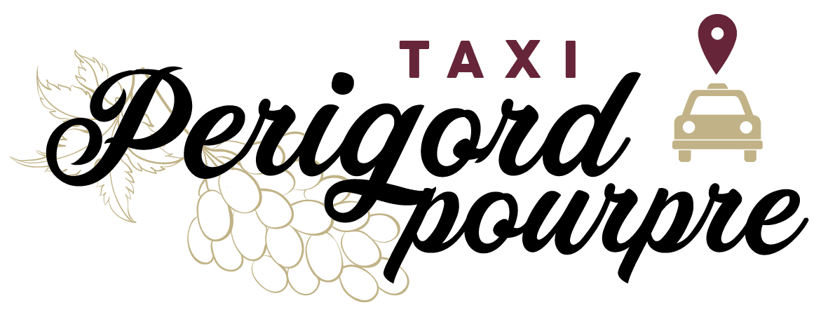 logo-taxiperigordpourpre_Plan-de-travail-1