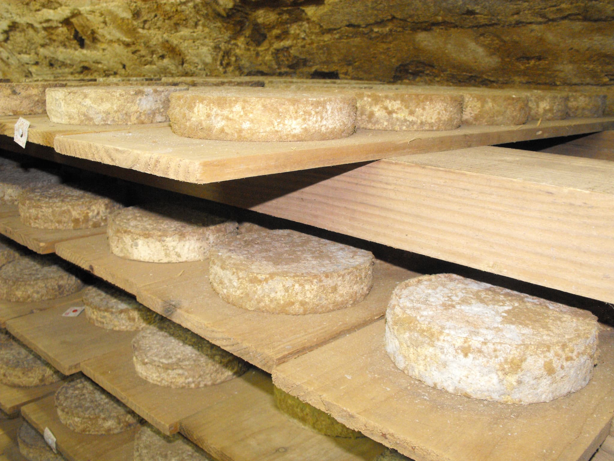 Fromage de la famille Mas de Feix_1