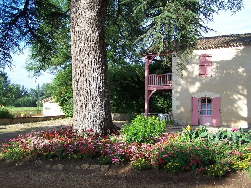 massif fleurs