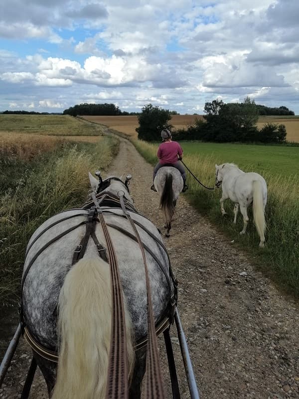 miramont de guyenne-les caleches annika-chevaux