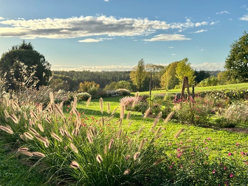 montignac de lauzun_jardins de clapiera_fougeres