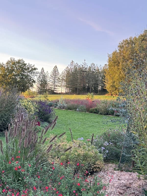 montignac de lauzun_jardins de clapiera_petites fleurs