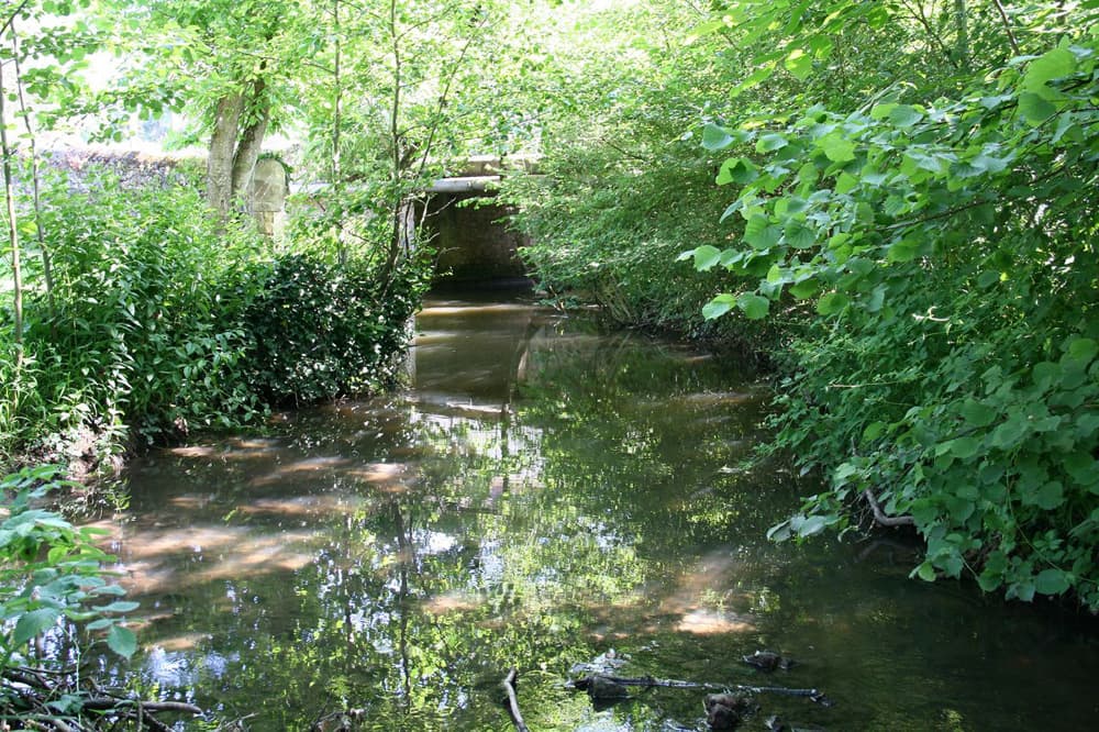 Camping de l'Allochon