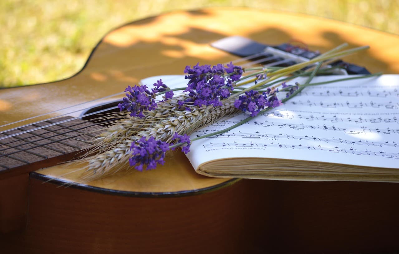 neelam279-guitar