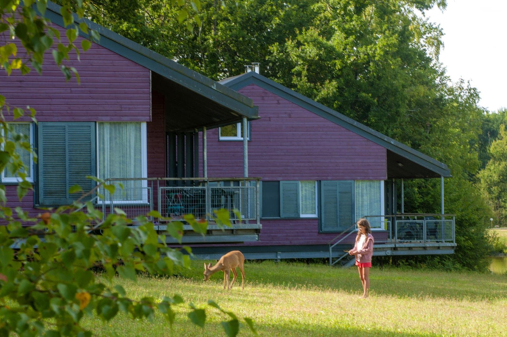 nps-Nouailles- cottage parc