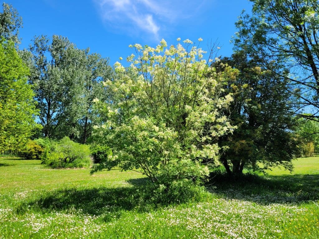 parc-botanique-neuvic