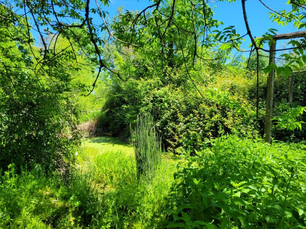 parc-botanique-neuvic