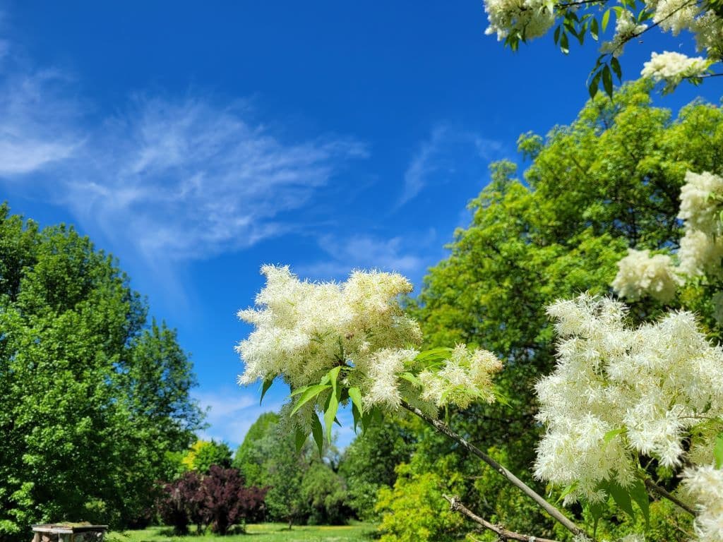 parc-botanique-neuvic