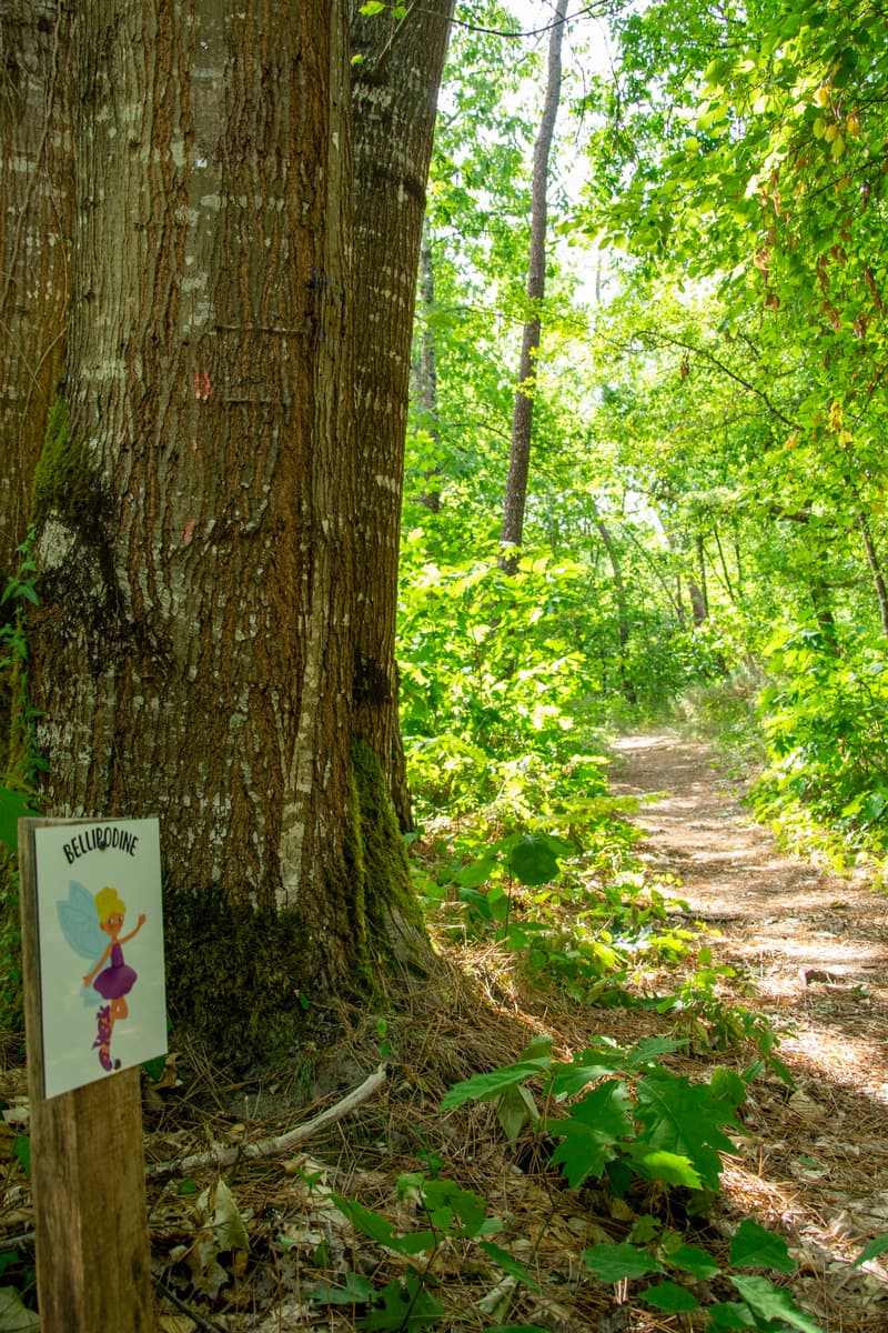 parcours-boucle-or-signalisation-foret-vignoble-mussidan-tourisme-vallee-isle