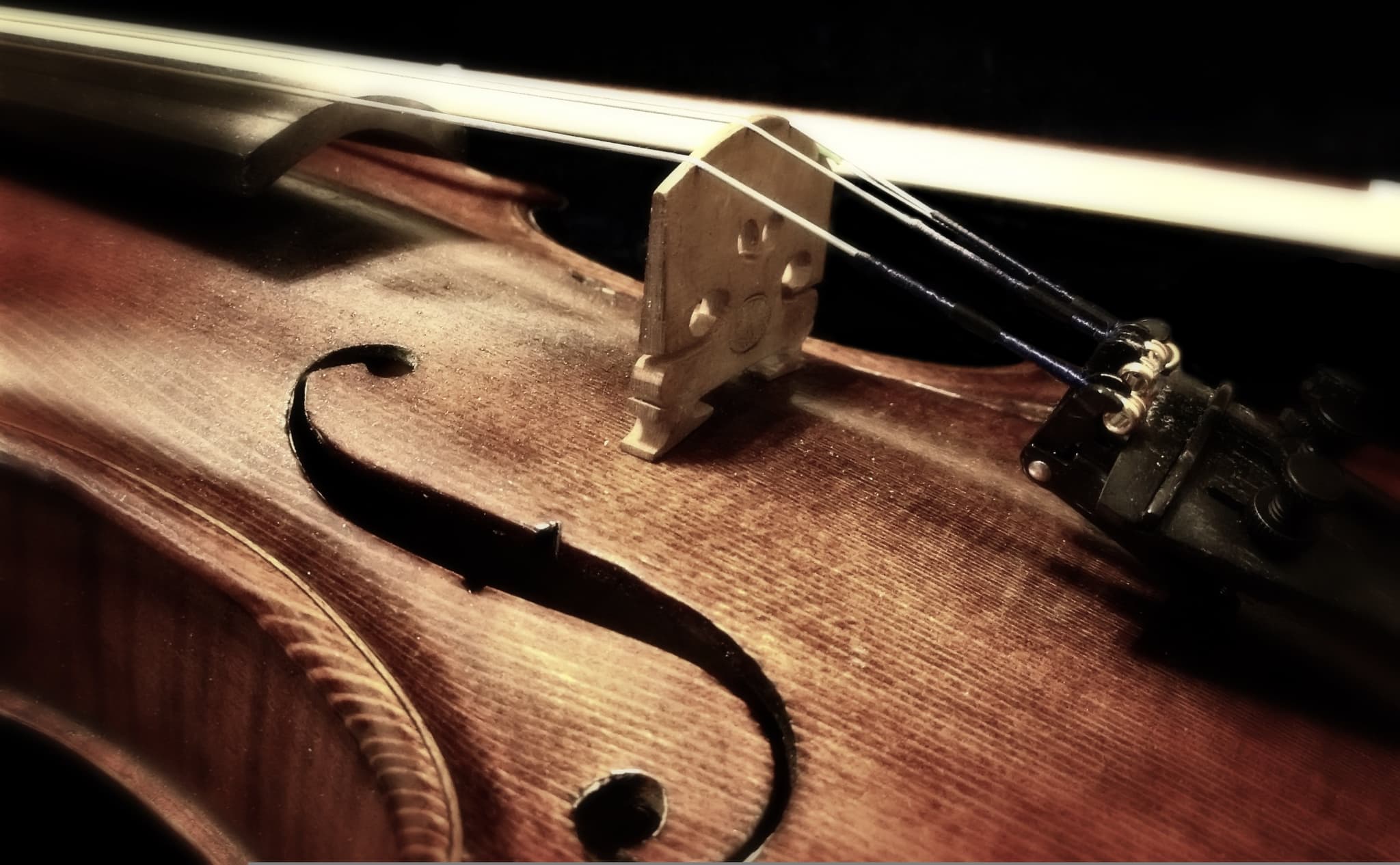 pexels-music-1283851