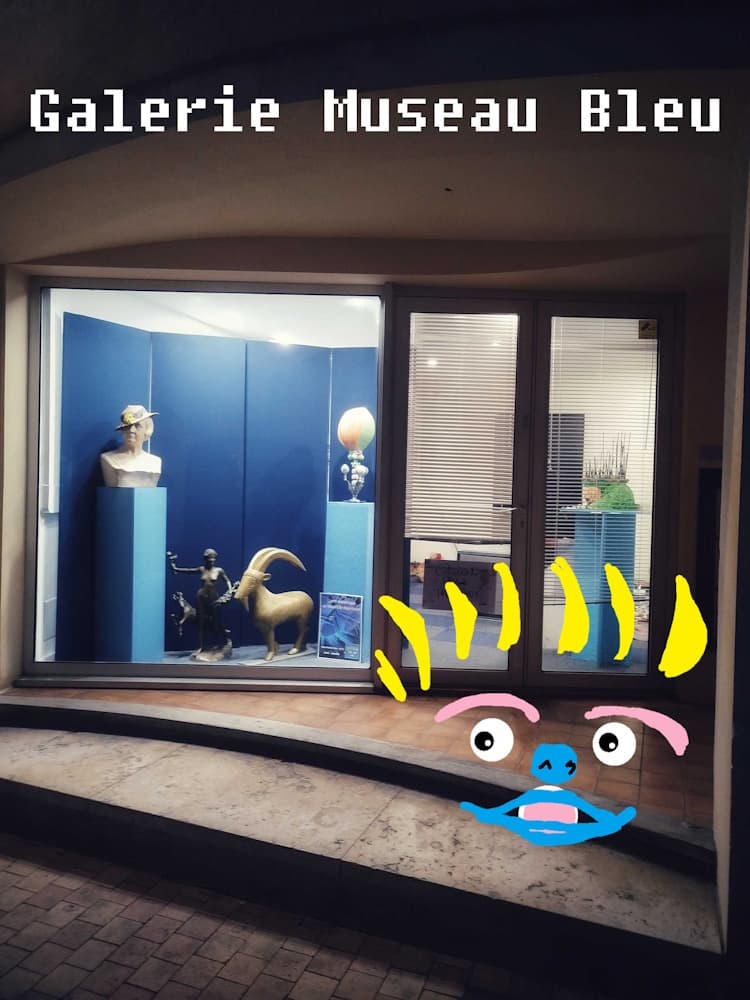 photo 1 galerie