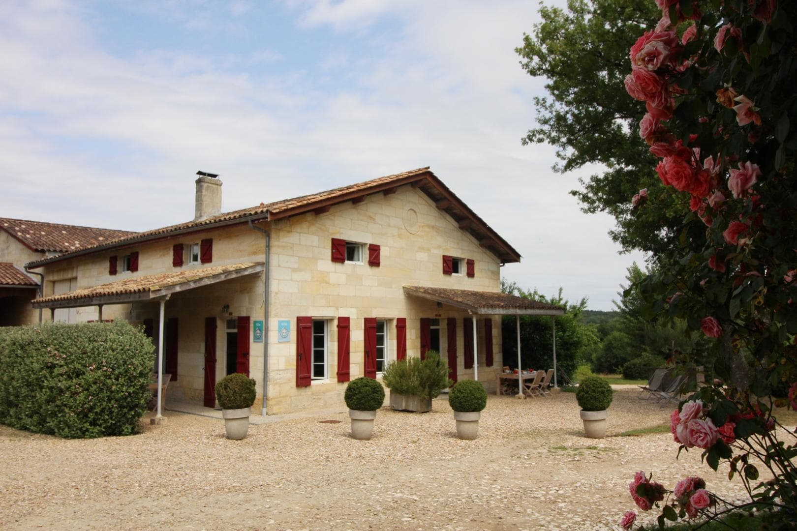 Château Malfard - Petit Verdot