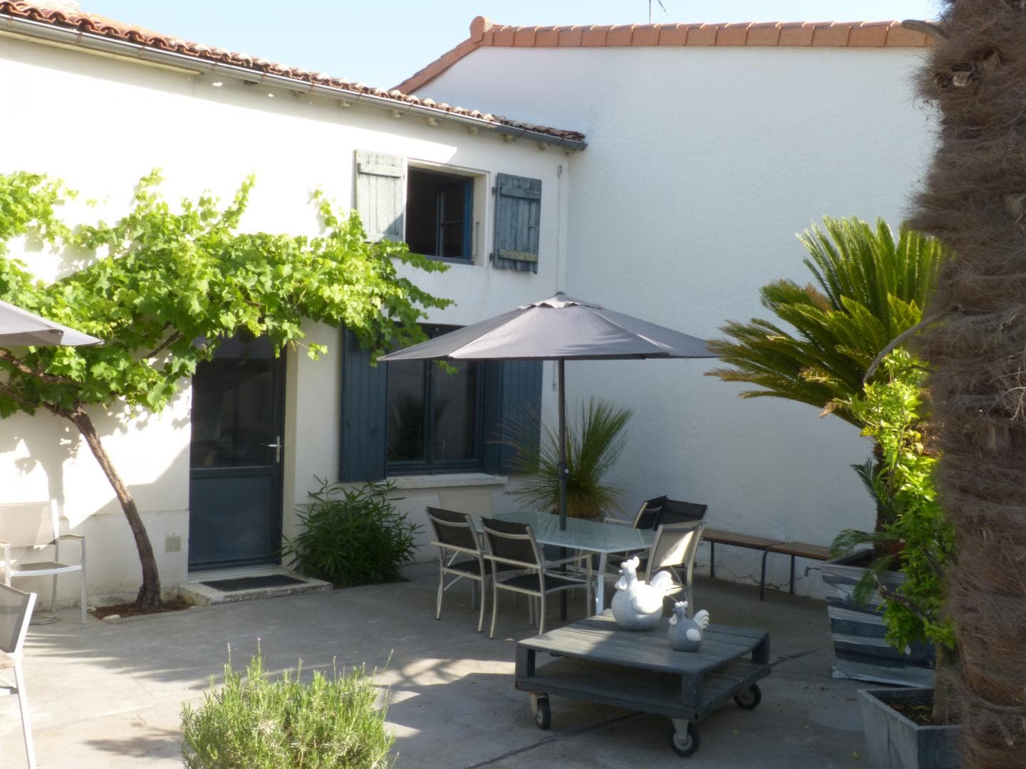 Terrasse