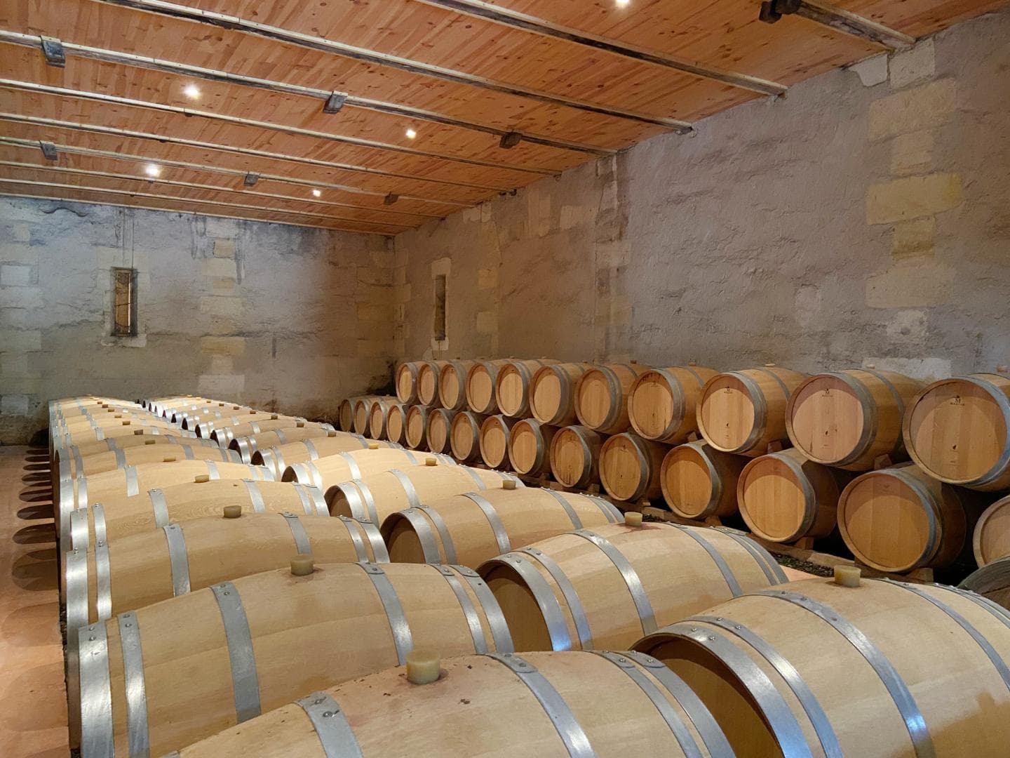 Château Malfard - Petit Verdot